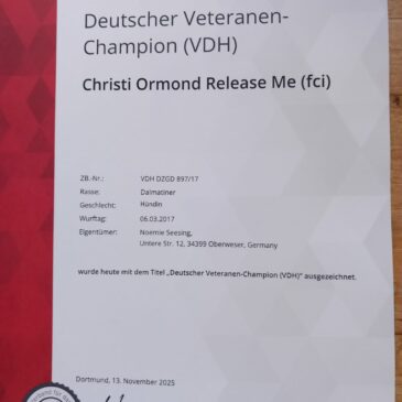 Deutscher Veteranen-Champion (VDH)