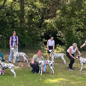 Familientreffen in Riede