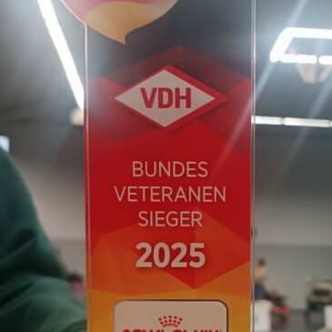 Bundessiegershow in Dortmund